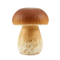 Porcini Mushroom Olive Oil - Tubac Gourmet Foods