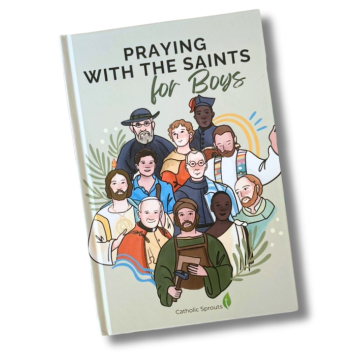 Book titled 'Praying with the Saints for Boys' featuring illustrations of various saints on a light background.
