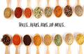 Smoky Onion Dip & Spread Mix - Tubac Gourmet Foods