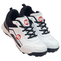 SS Gutsy Cricket shoes (size 6) (1pc)