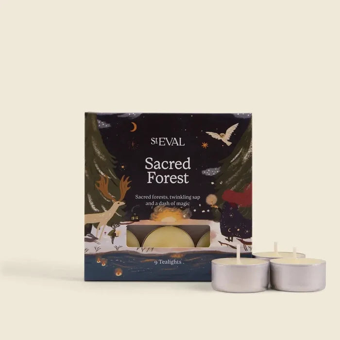 St Eval Artisan Candles - Sacred Forest Christmas Tealights