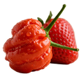 Strawberry Piri Piri Pepper Balsamic Honey Mustard Dressing 12 oz. - Tubac Gourmet Foods