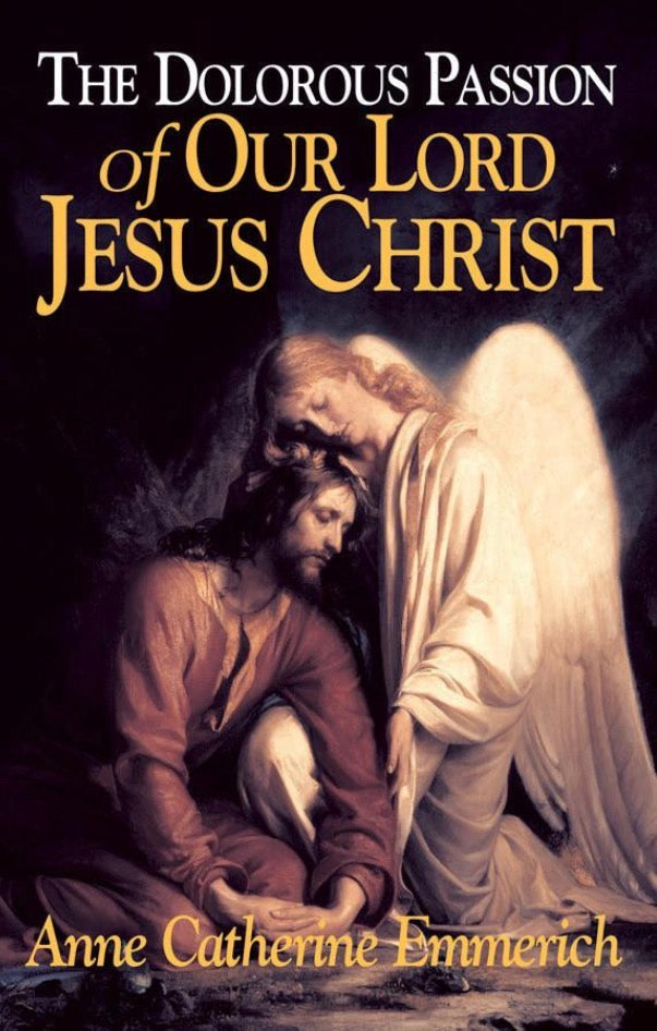 Book cover of 'The Dolorous Passion of Our Lord Jesus Christ' Anne Catherine Emmerich featuring an angel and a man.