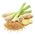 Toasted Sesame Lemongrass Ginger Oil - Tubac Gourmet Foods