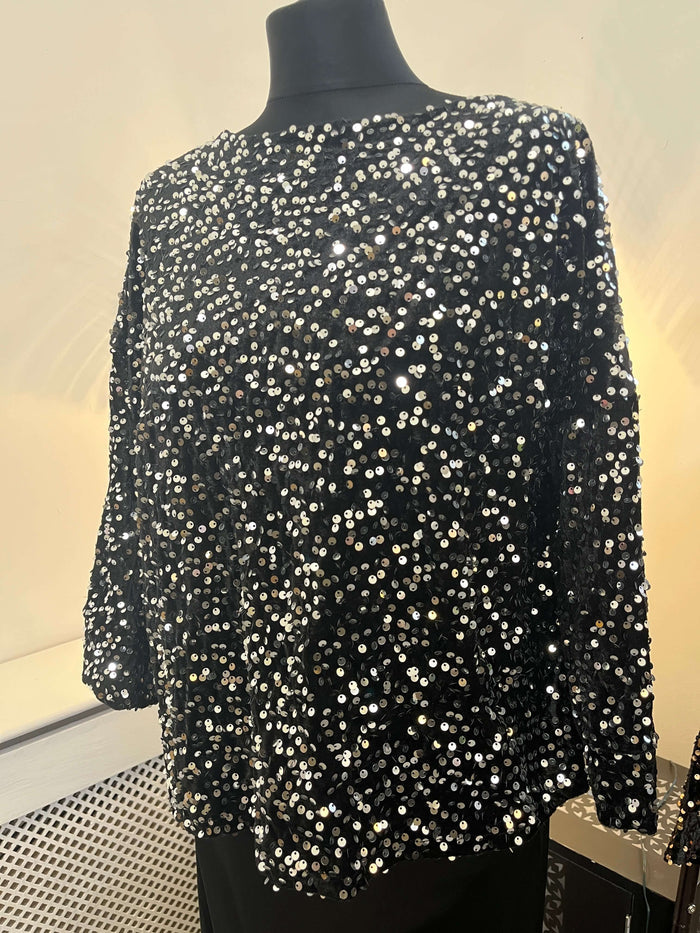 Tricia Sequin Sparkle Blouse