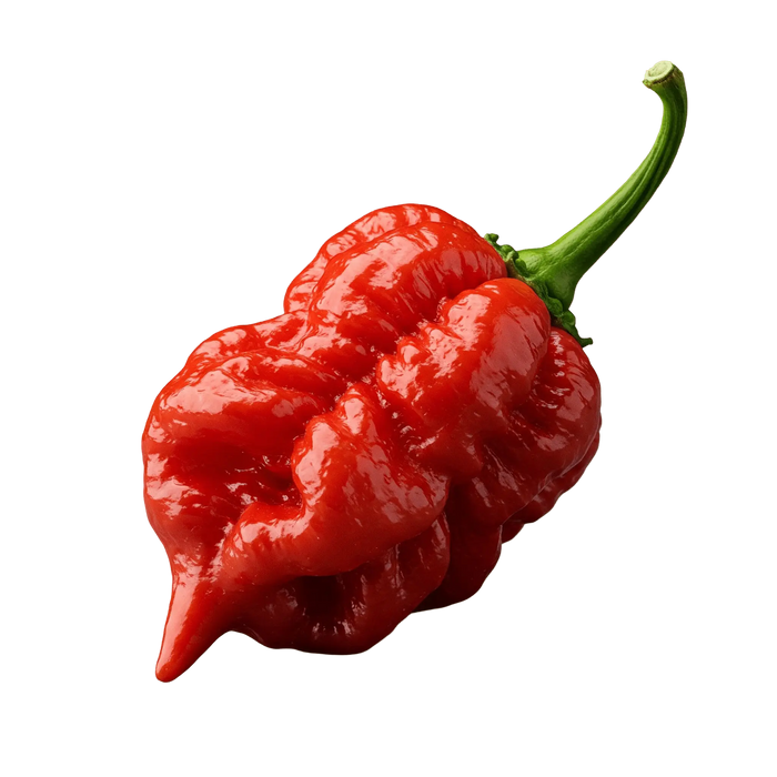 Scorpion Pepper Olive Oil - Tubac Gourmet Foods