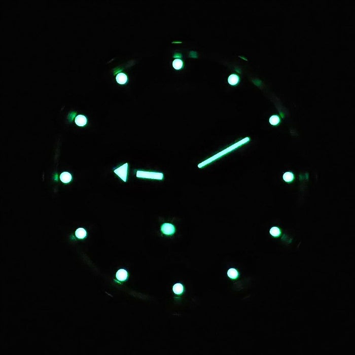 Vostok Amphibia 120509 Automatic Mechanical Watch