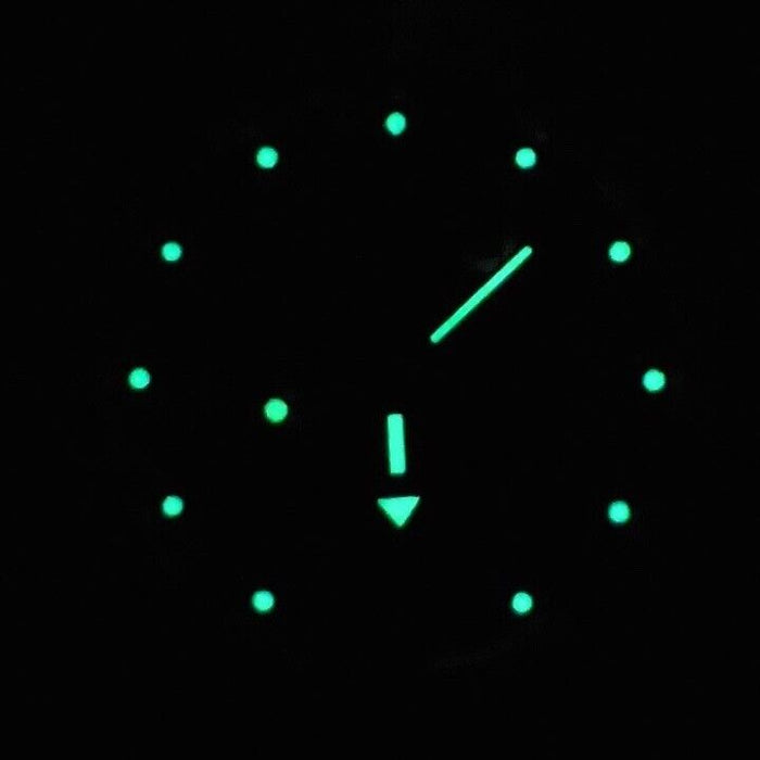 Vostok Amphibia 420648 Watch | Scubadudestore