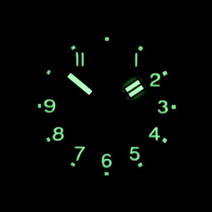Vostok Amphibia 72095A Watch | Scubadudestore