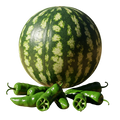 Watermelon Hatch Balsamic Honey Mustard Dressing 12 oz. - Tubac Gourmet Foods