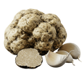 White Truffle Garlic Olive Oil - Tubac Gourmet Foods
