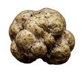 White Truffle Olive Oil - Tubac Gourmet Foods