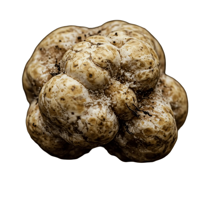 White Truffle Olive Oil - Tubac Gourmet Foods